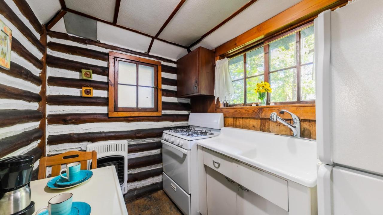 Log Cabin Motor Court Asheville Extérieur photo